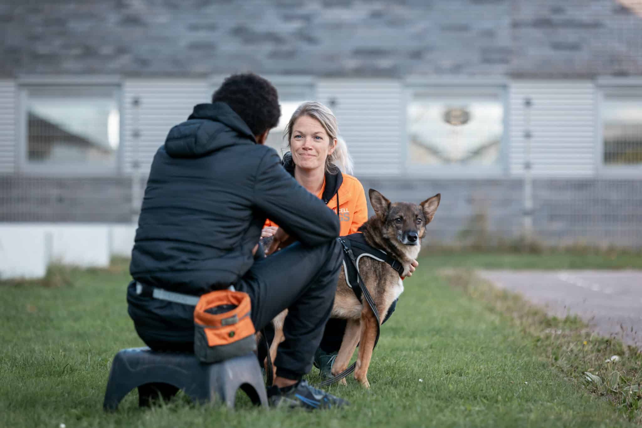 Tweede kansen, dubbel zoveel inzicht: het verhaal van Dutch Cell Dogs ...